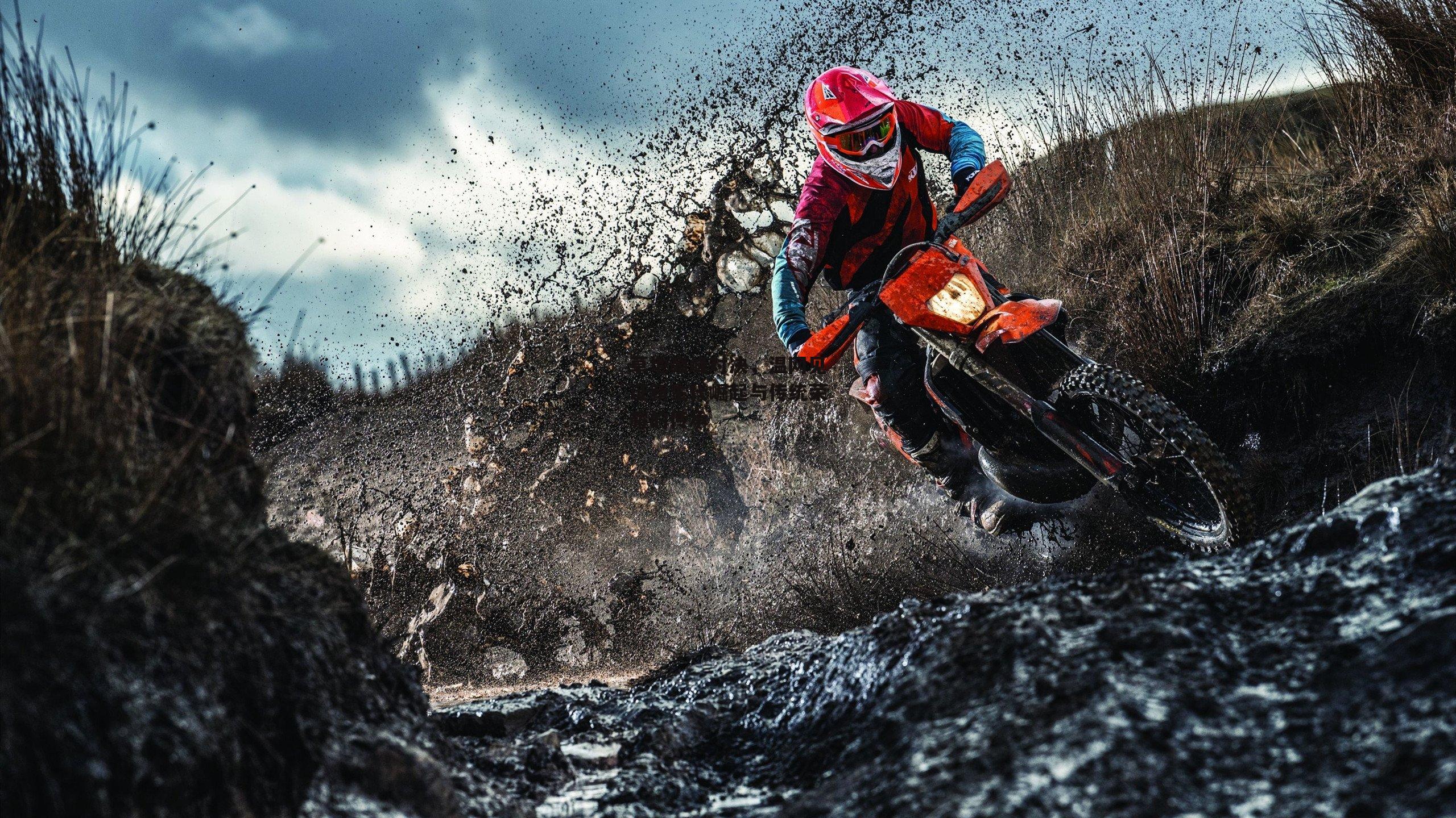 草地巅峰对决,温网见证新生代崛起与传统荣耀的传承